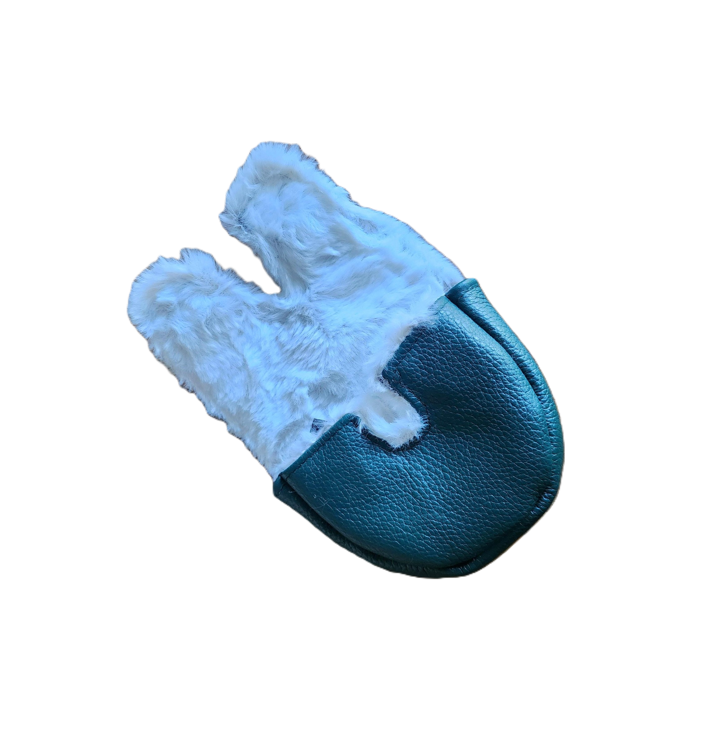 Slide image